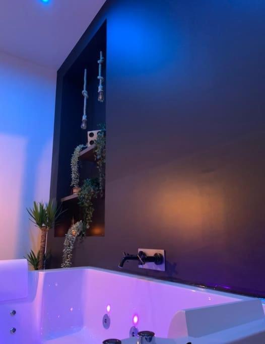 Appartement Spa - Nahleo Industriel ドール エクステリア 写真